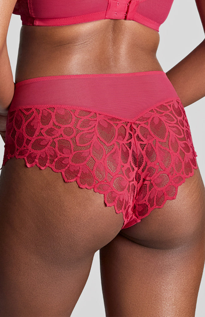 Panache | Allure Deep Brief | Raspberry