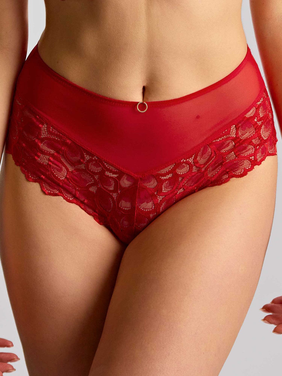 Panache | Allure Deep Brief | True Red
