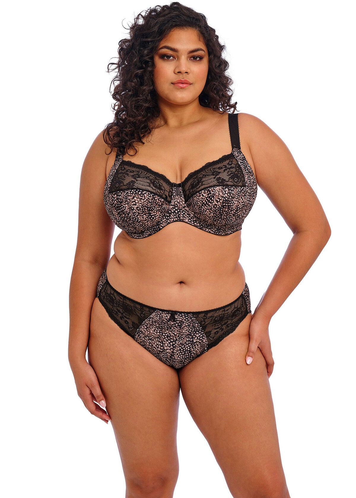 Elomi | Morgan Brief | Ebony