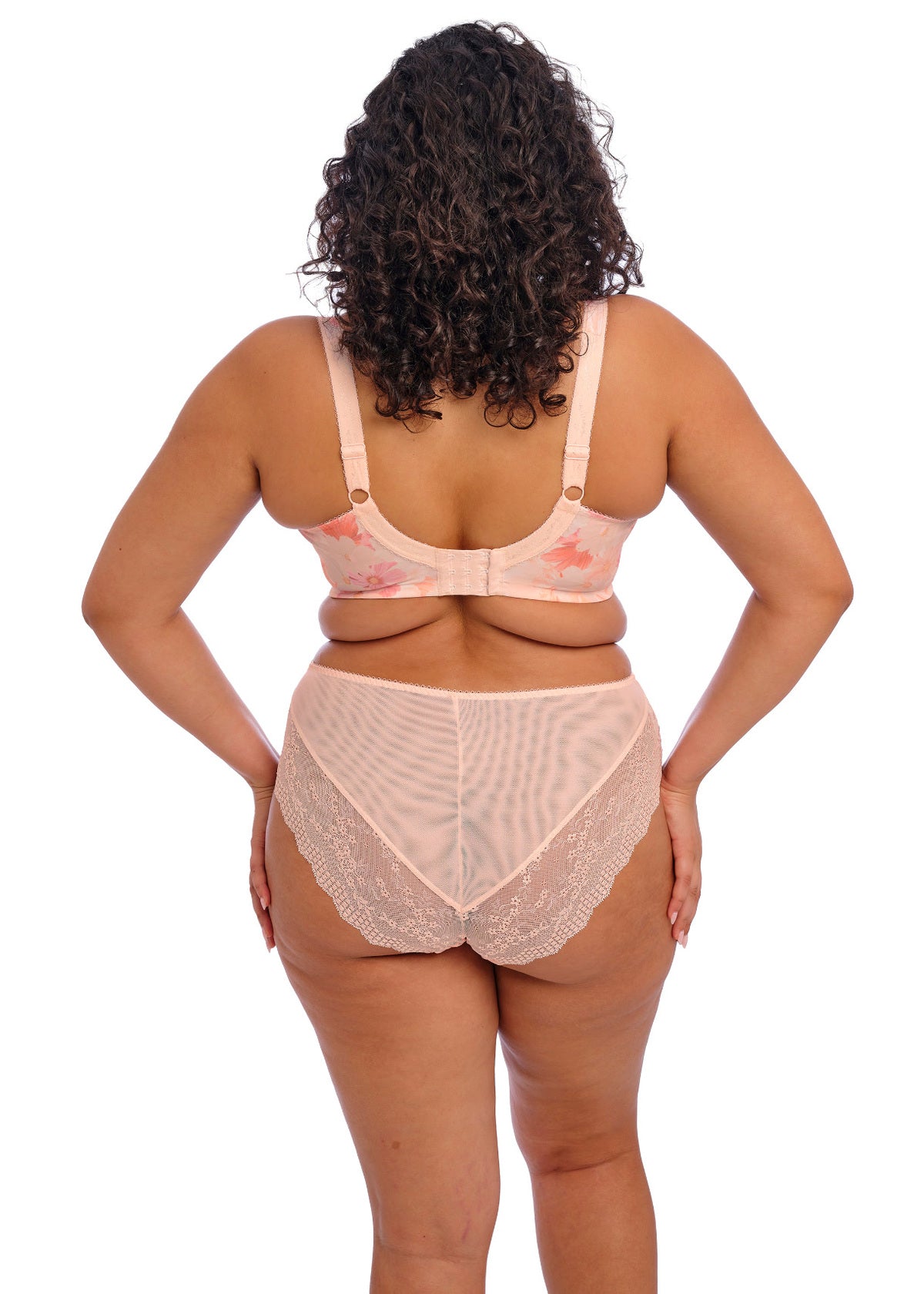 Elomi | Lucie High Leg Brief | Cosmos
