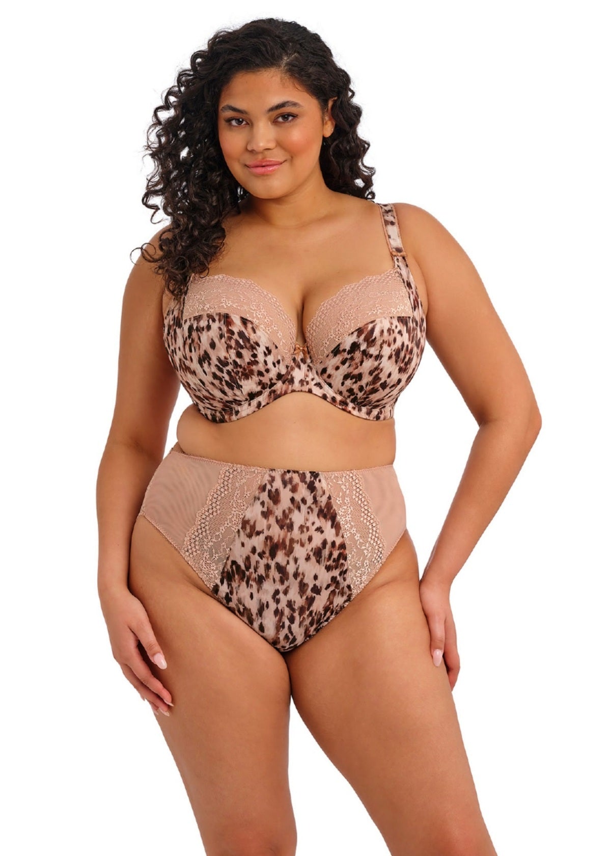 Elomi | Lucie High Leg Brief | Wildcat
