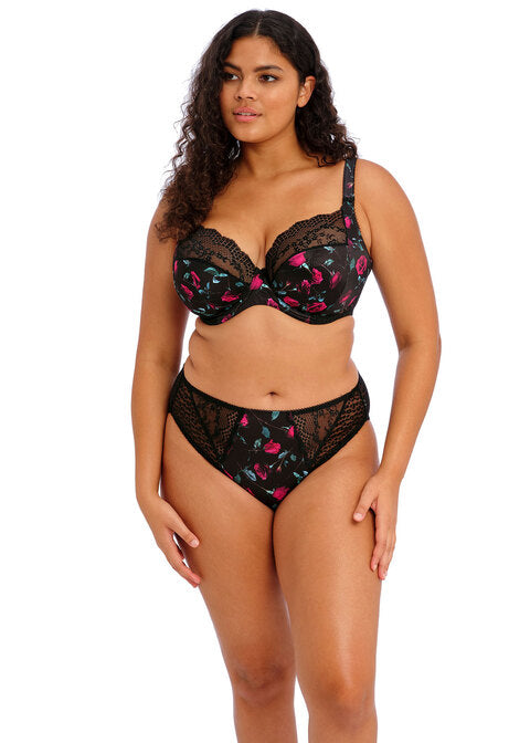 Elomi | Lucie High Leg Brief | Rock 'n' Rose