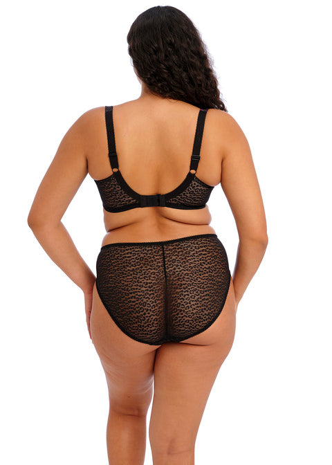 Elomi | Lucie High Leg Brief | Rock 'n' Rose