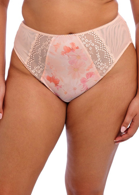 Elomi | Lucie High Leg Brief | Cosmos