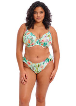 Load image into Gallery viewer, Elomi | Sunshine Cove Plunge Bikini Top | Aqua
