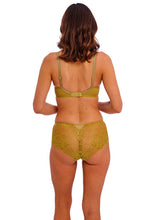 Load image into Gallery viewer, Wacoal | Natsuki Lace Brief | Antique Gold
