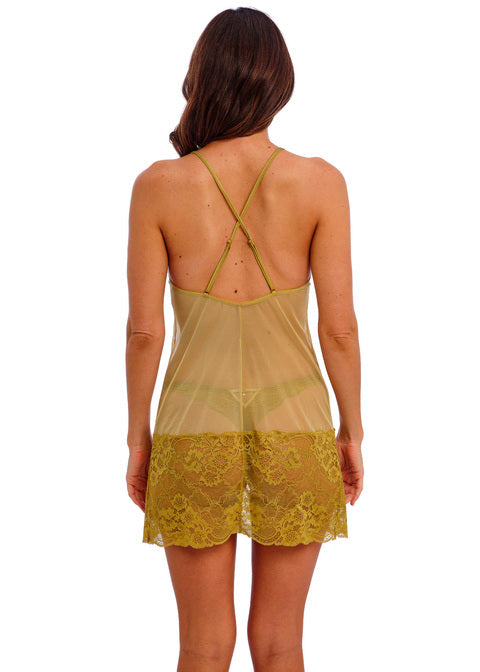 Wacoal | Natsuki Lace Chemise | Antique Gold