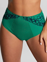 Load image into Gallery viewer, Panache | Envy Deep Brief | Emerald Leopard
