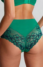 Load image into Gallery viewer, Panache | Envy Deep Brief | Emerald Leopard
