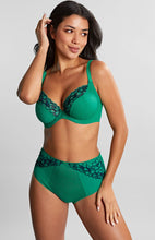 Load image into Gallery viewer, Panache | Envy Deep Brief | Emerald Leopard
