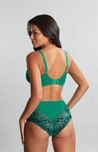 Load image into Gallery viewer, Panache | Envy Deep Brief | Emerald Leopard
