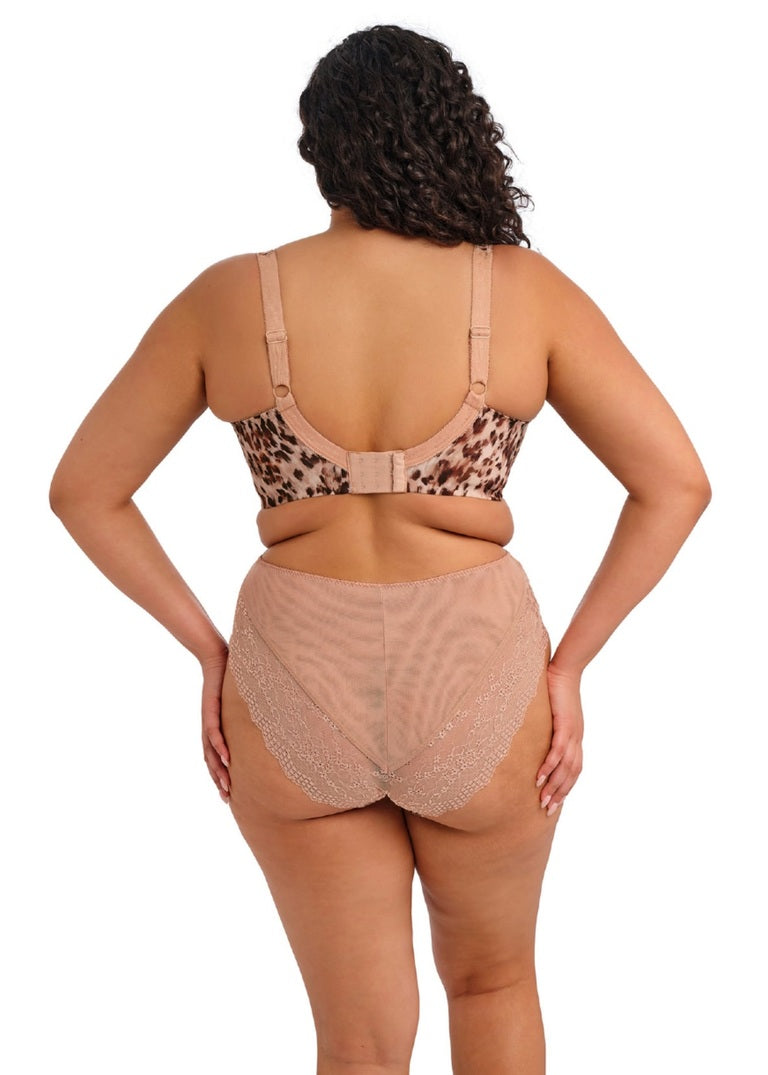 Elomi | Lucie High Leg Brief | Wildcat