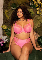 Elomi | Matilda Plunge Bra | Wild Cherry