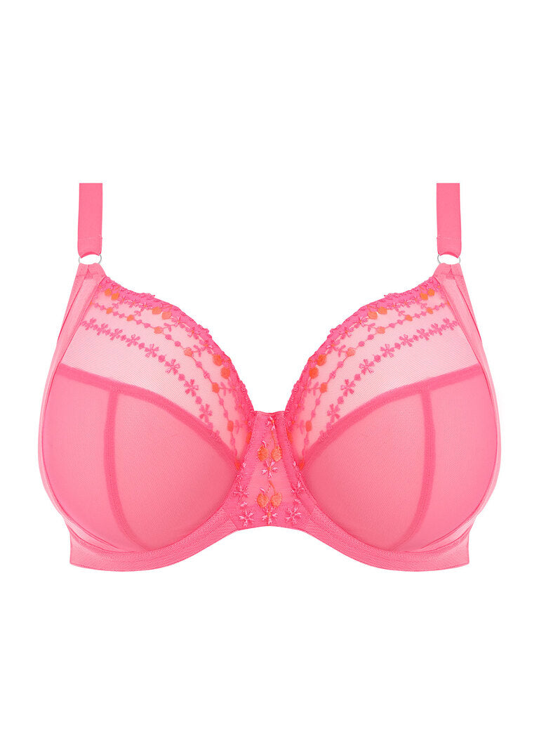 Elomi | Matilda Plunge Bra | Wild Cherry