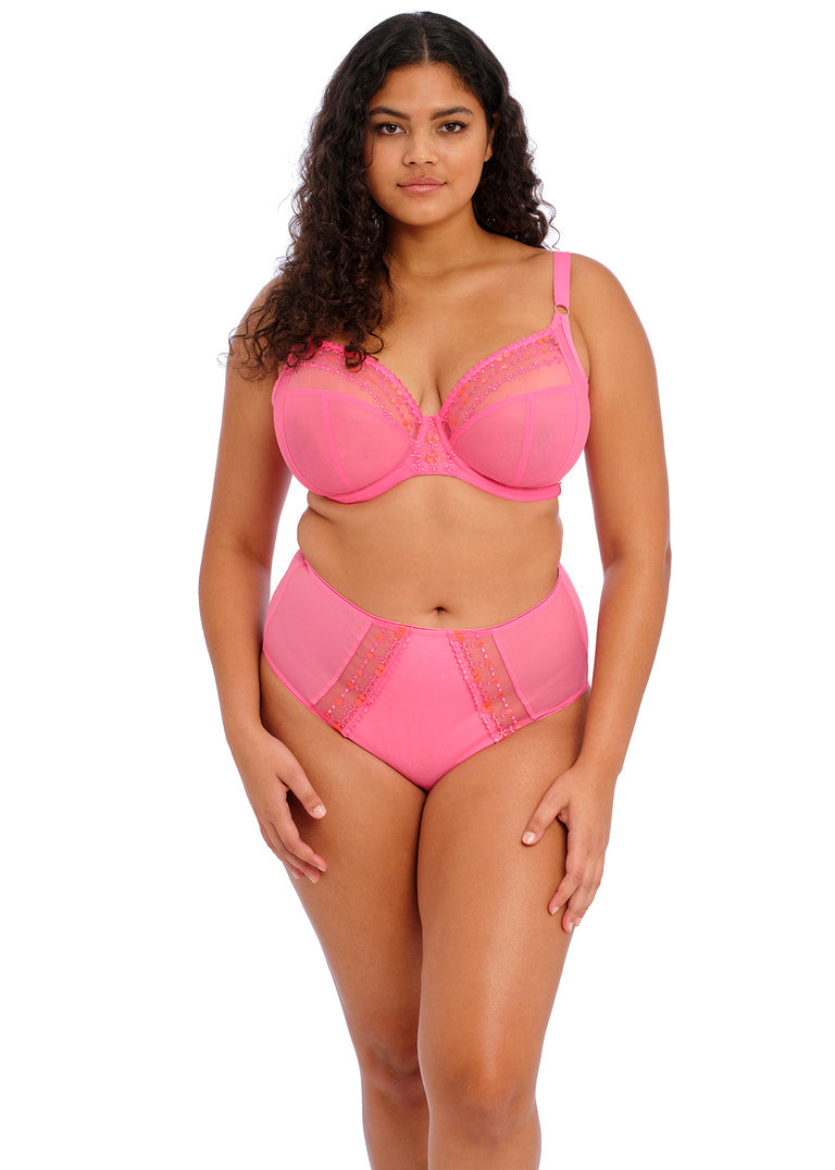 Elomi | Matilda Deep Brief | Wild Cherry