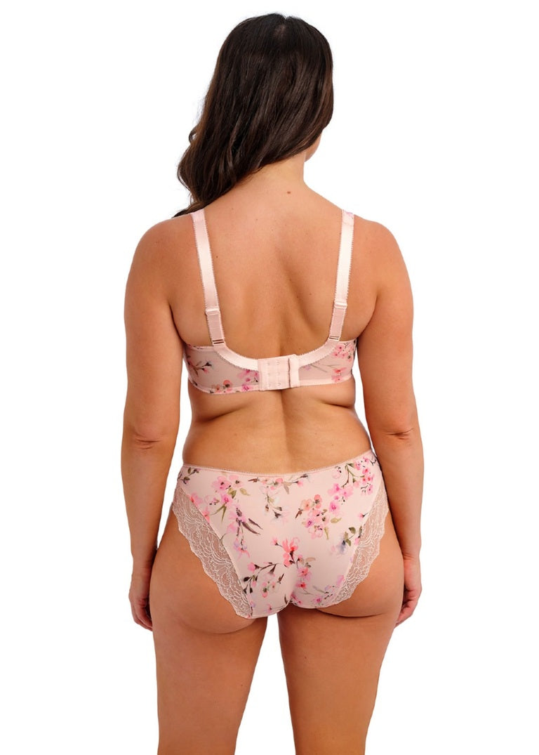Fantasie | Lucia Brief | Rosewater