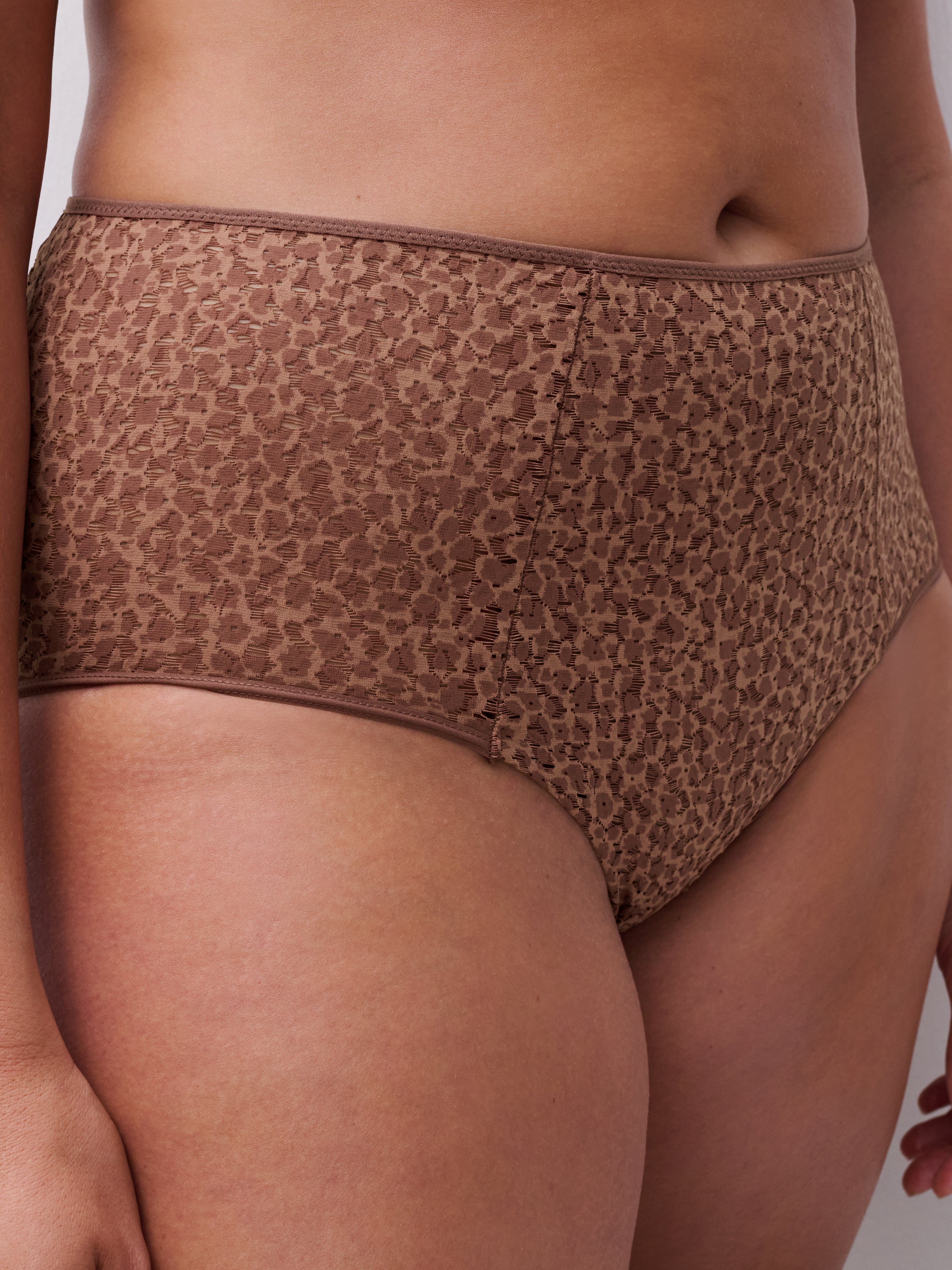 Chantelle | Norah High Waist Brief | Wild Brown