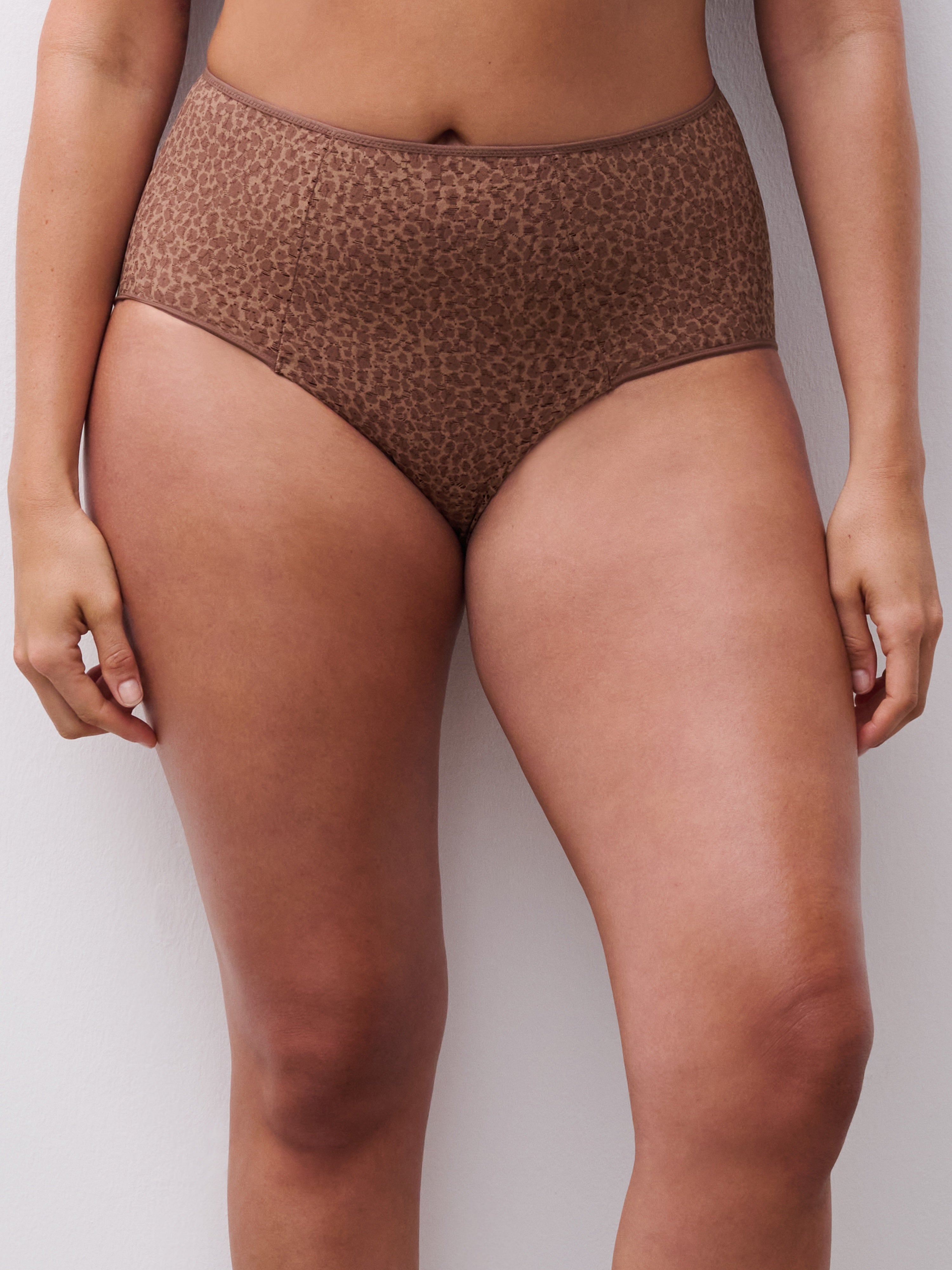Chantelle | Norah High Waist Brief | Wild Brown