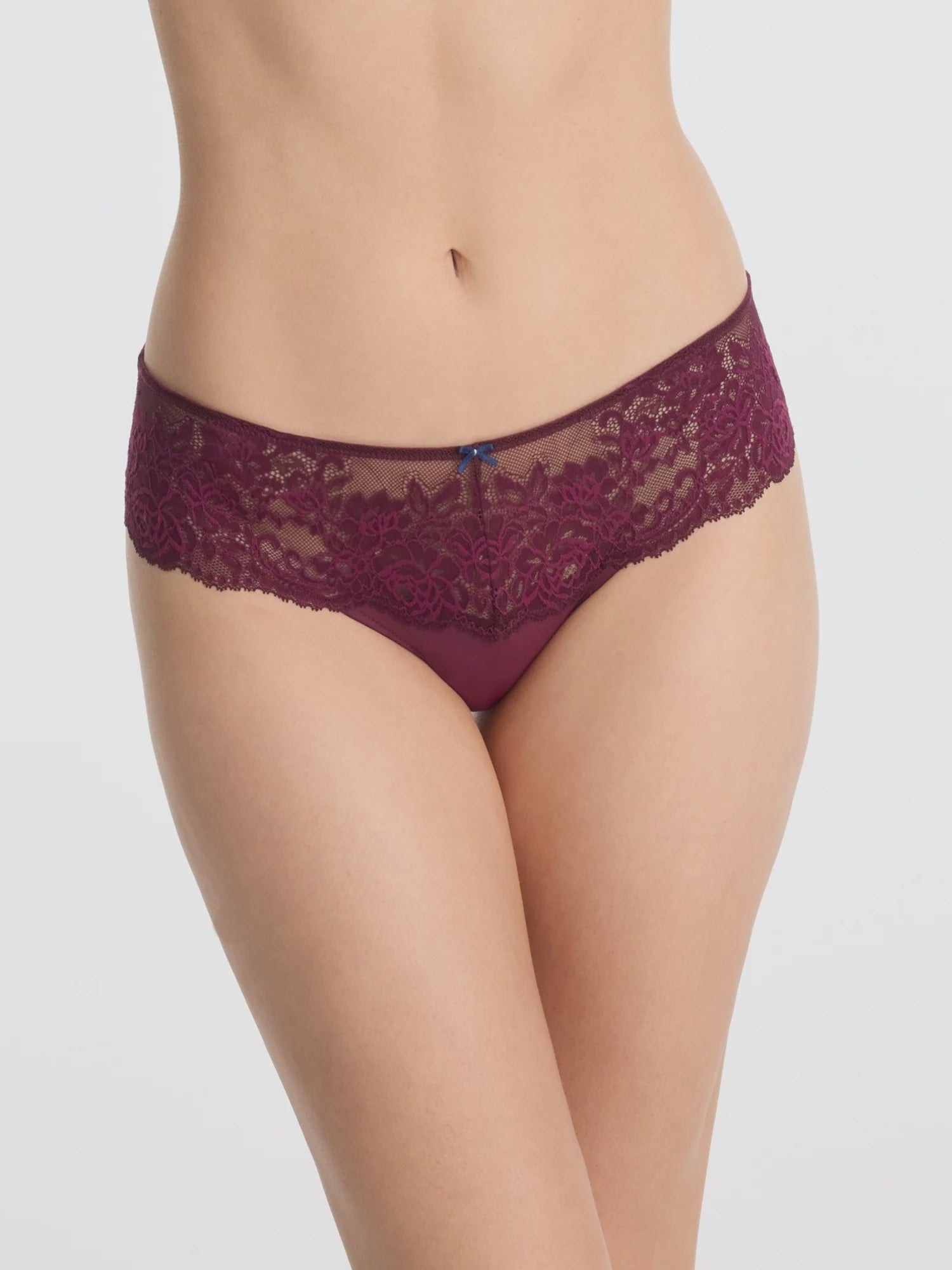 Skarlett Blue | Captivate Lace Bikini Brief | Figgy/ Nocturnal