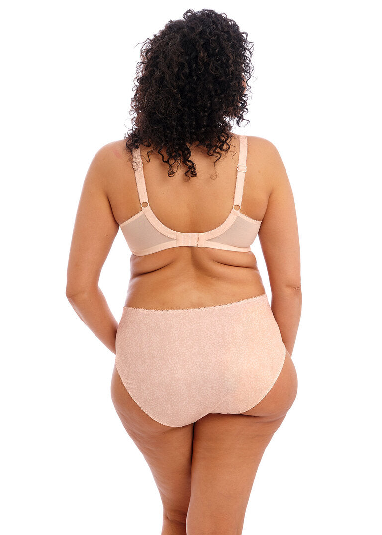 Elomi | Morgan Bra | Cameo