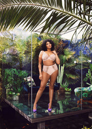 Elomi | Matilda Plunge | Pearl Blush