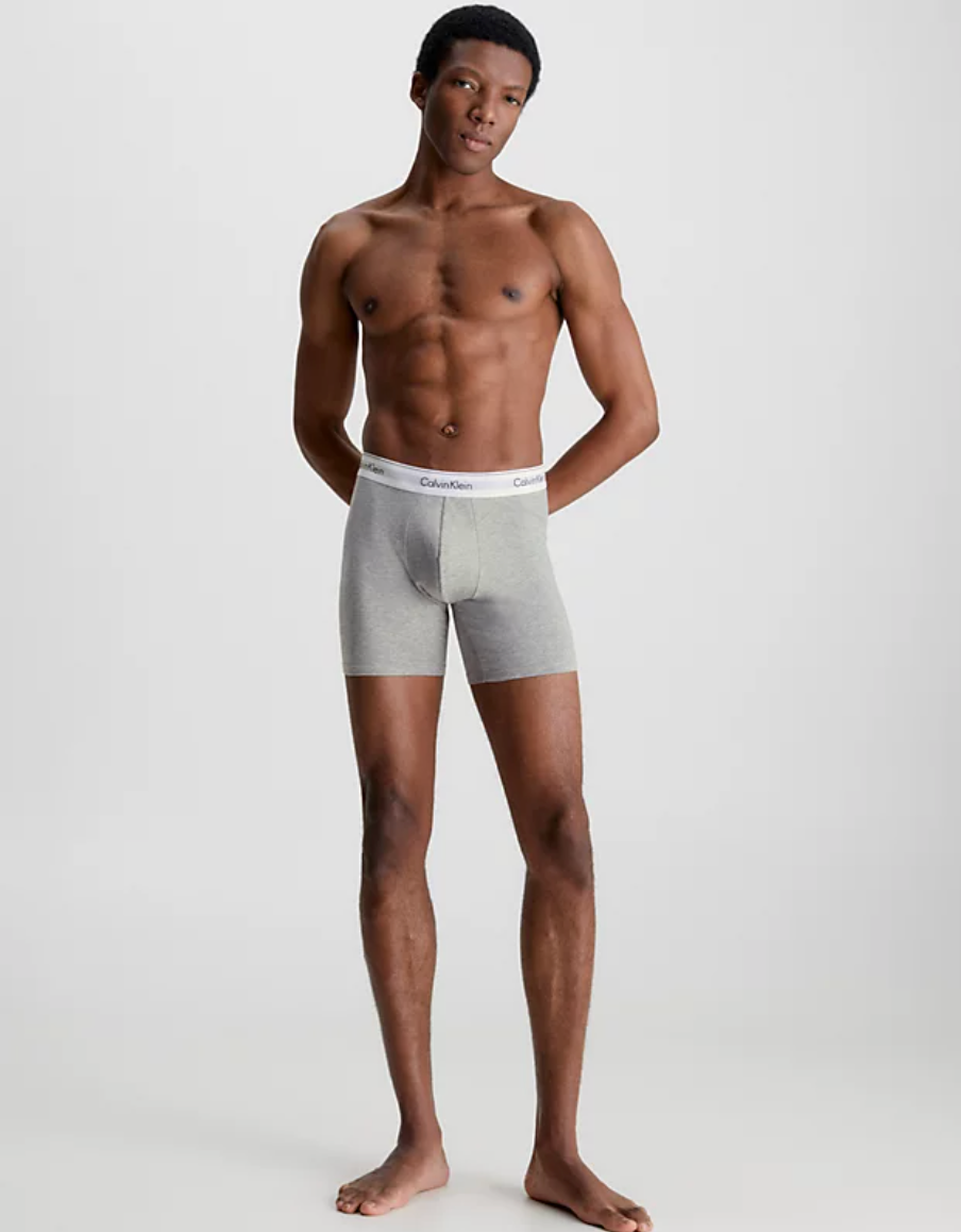 Calvin Klein | Modern Cotton 3 Pack Boxer Briefs | BWG
