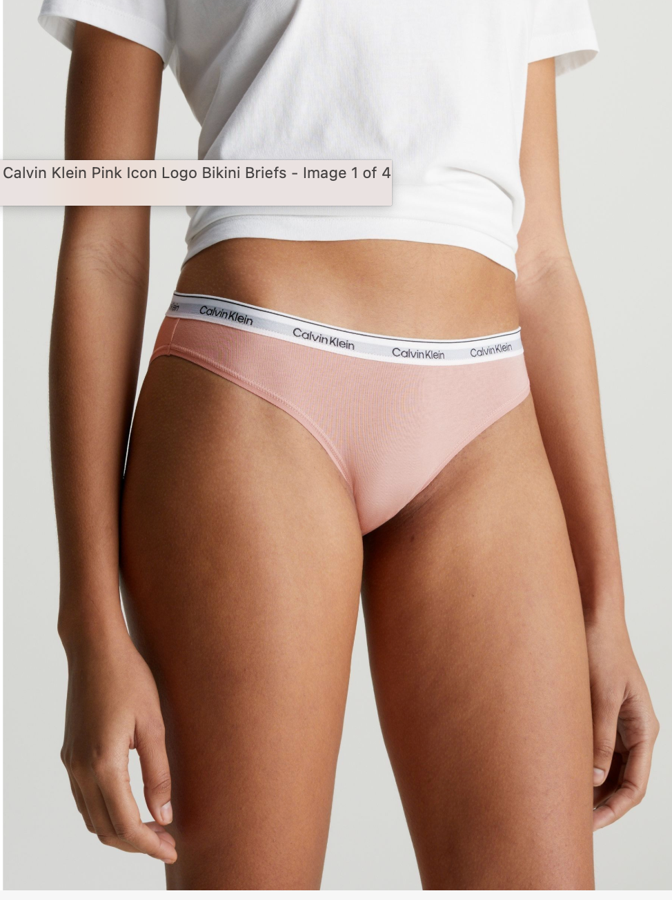 Calvin Klein | Modern Cotton Briefs | Nymphs Pink