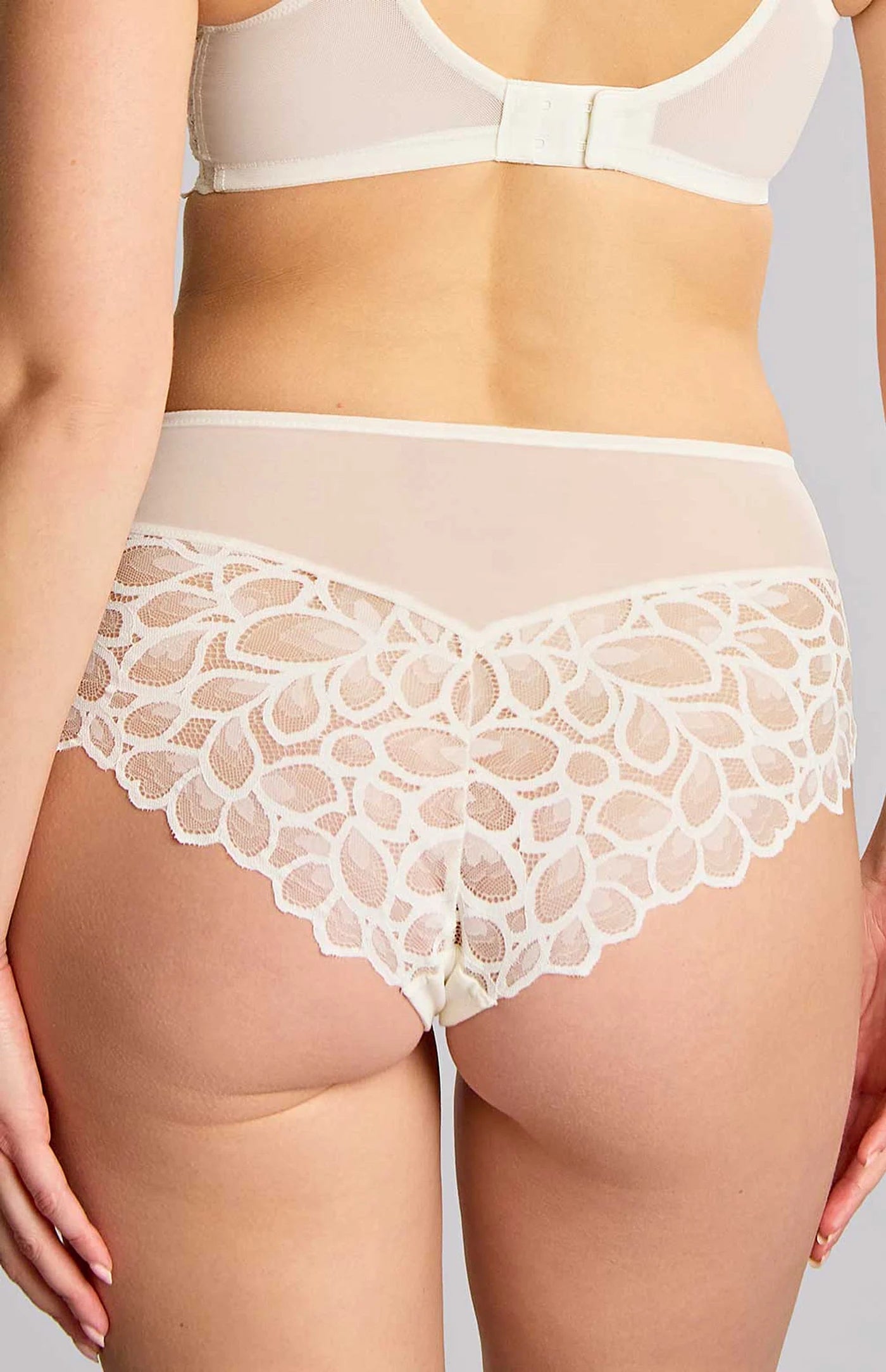 Panache | Allure Deep Brief | Ivory