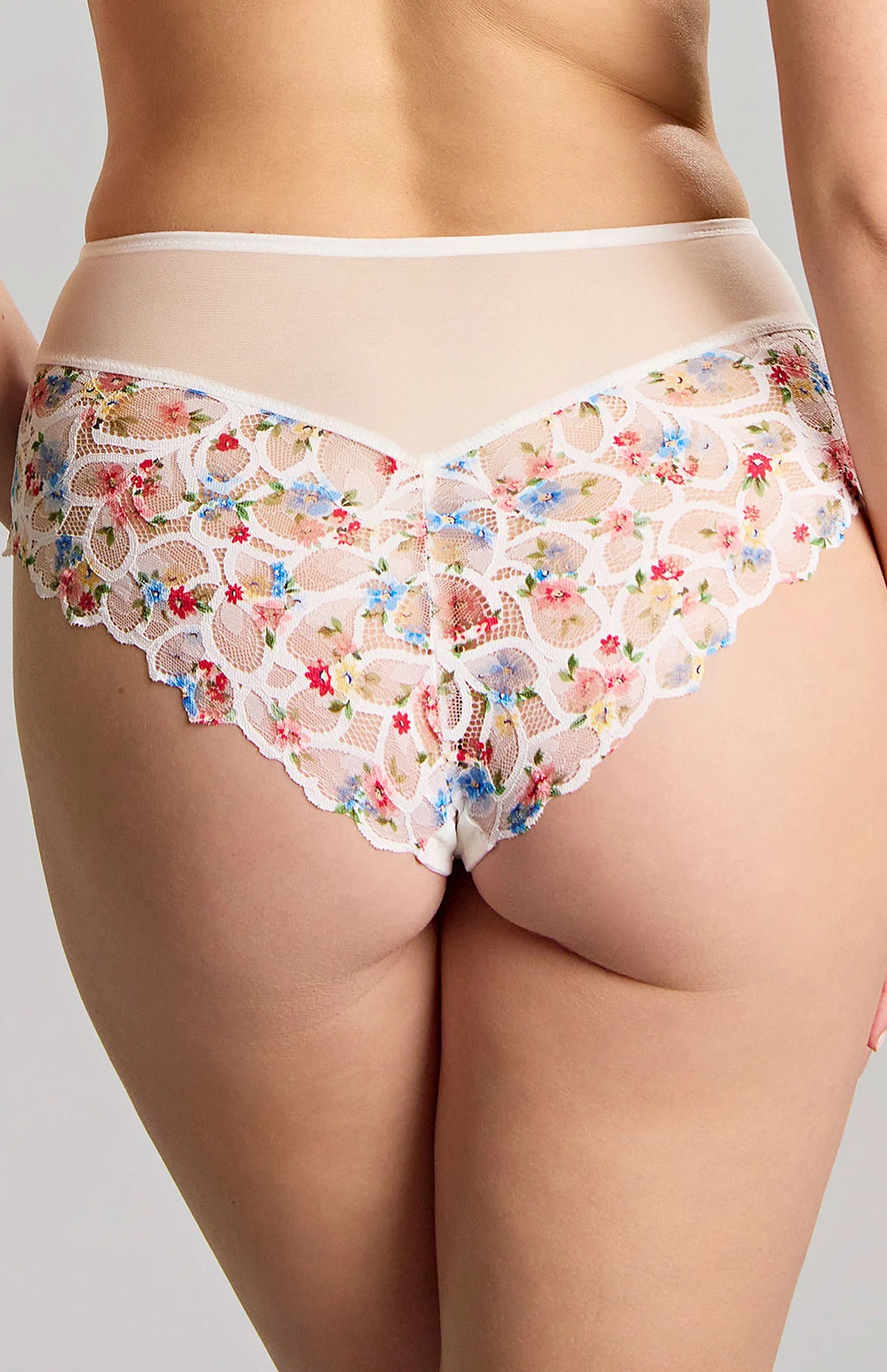 Panache | Allure Deep Brief | Bloom