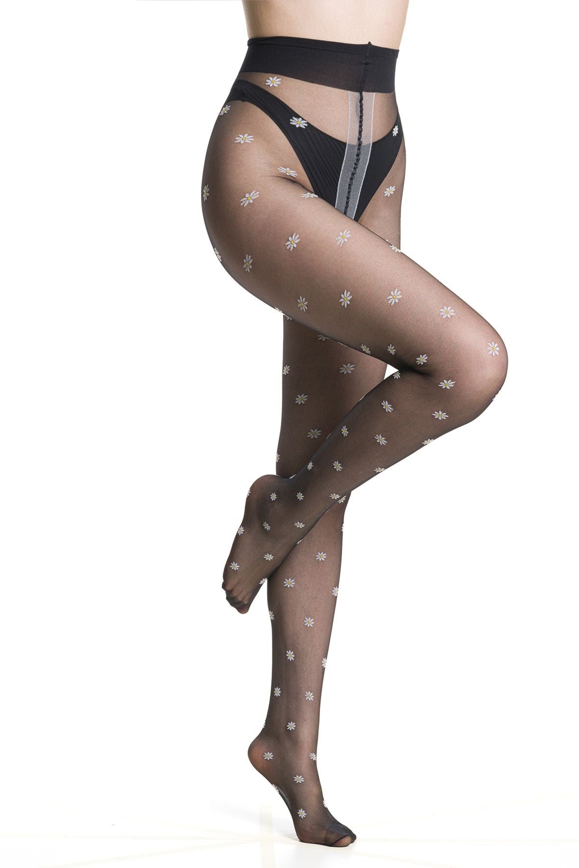Trasparenze | Millibar Tights | Black