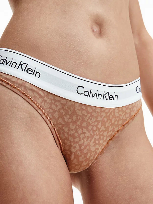 Calvin Klein | Modern Cotton Brief | Mini Print