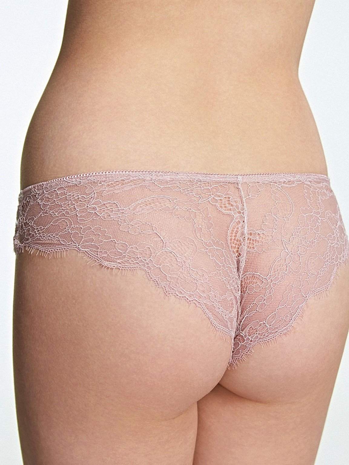Royce | English Rose Brief