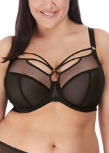 Load image into Gallery viewer, Elomi | Sachi Underwired Plunge | Black
