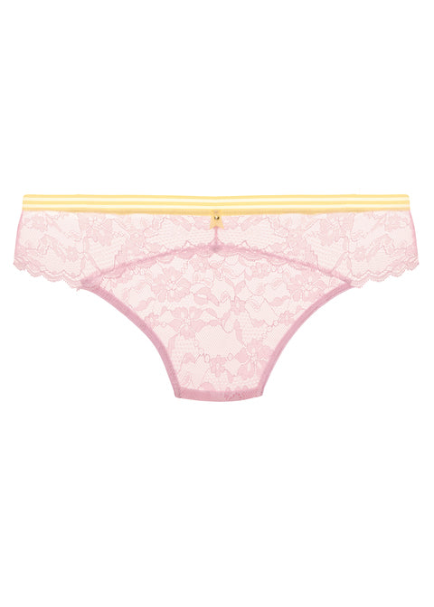 Freya | Offbeat Brief | Macaron