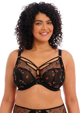 Load image into Gallery viewer, Elomi | Sachi Plunge Bra | Butterfly
