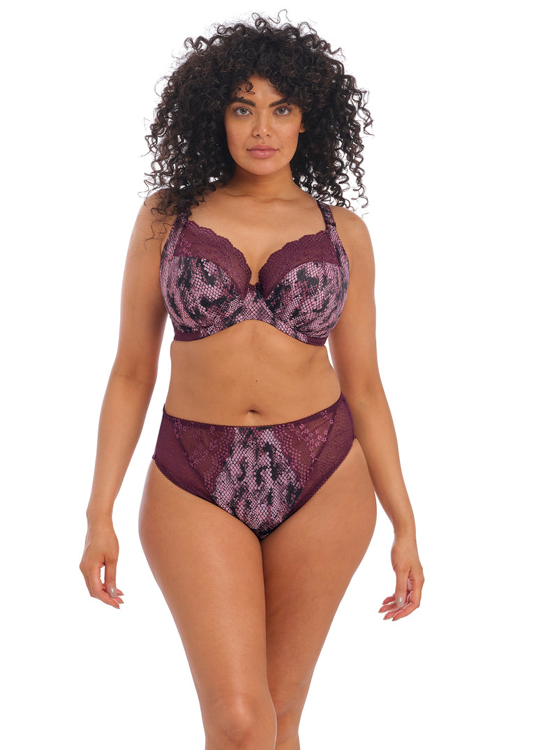 Elomi | Lucie High Leg Brief | Mambo