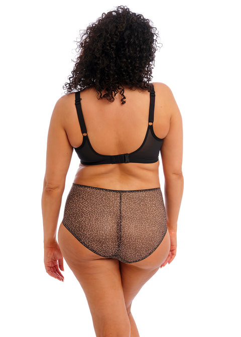 Elomi | Matilda Deep Brief | Leopard